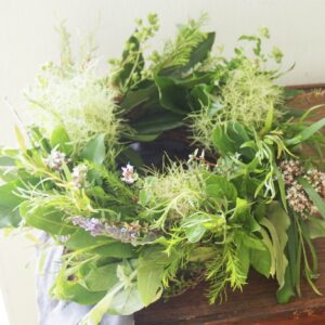 ハーブのリース